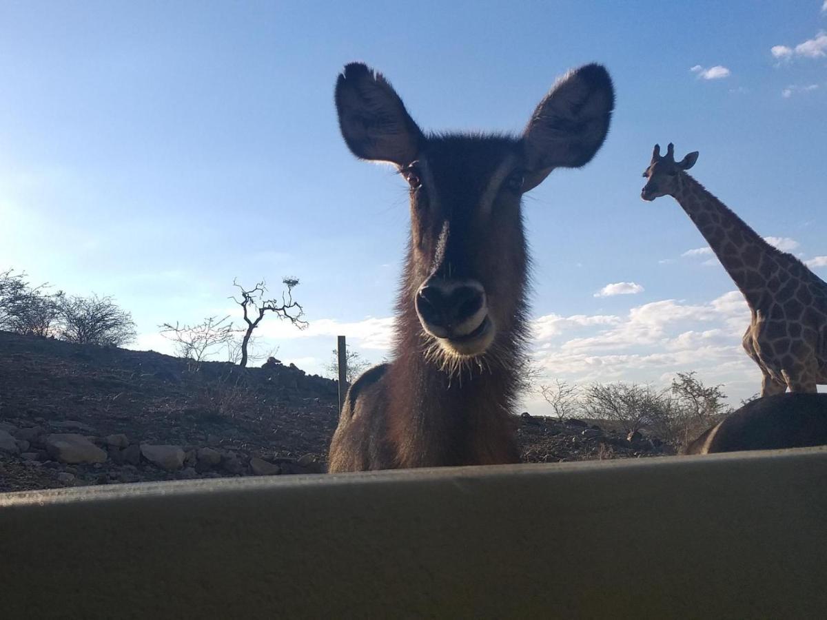 Uitkyk Guest Farm Hotel Usakos Eksteriør billede