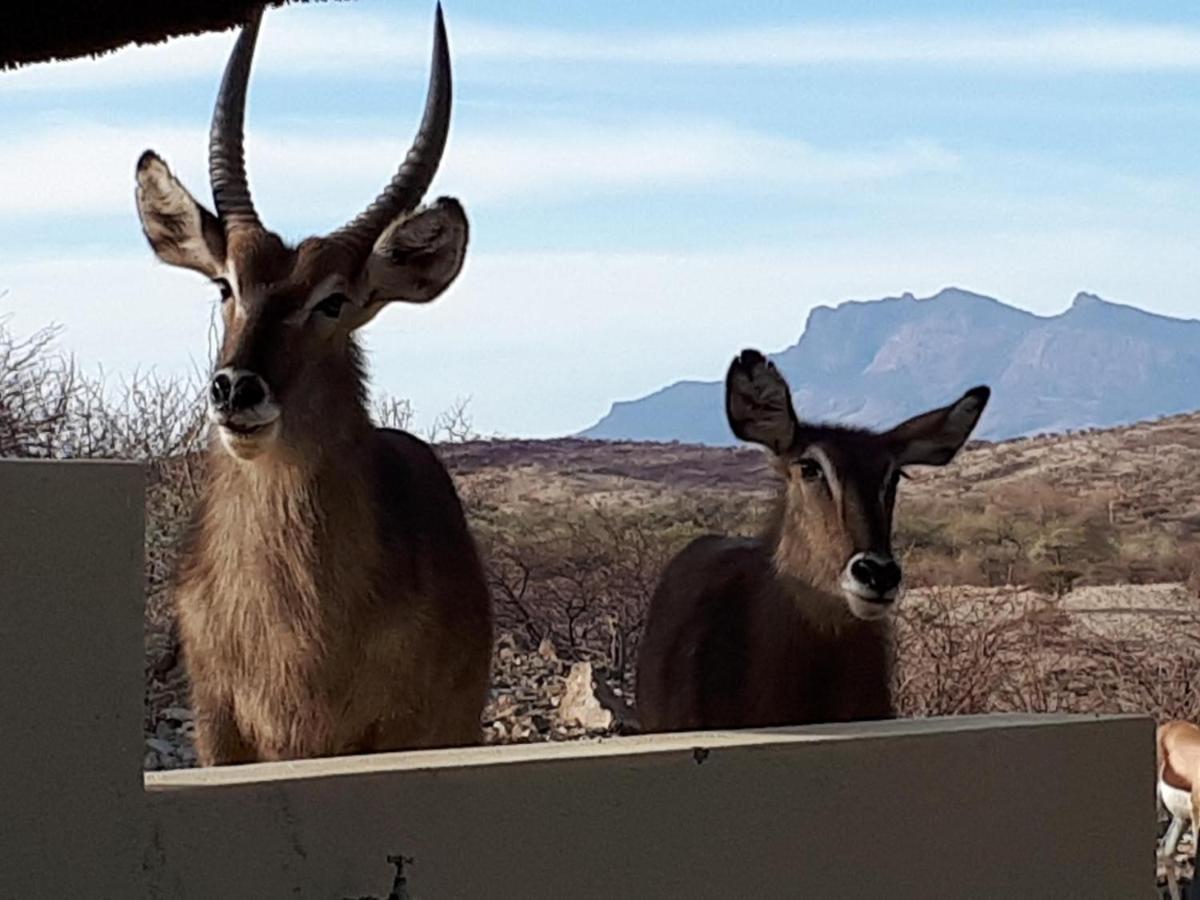 Uitkyk Guest Farm Hotel Usakos Eksteriør billede