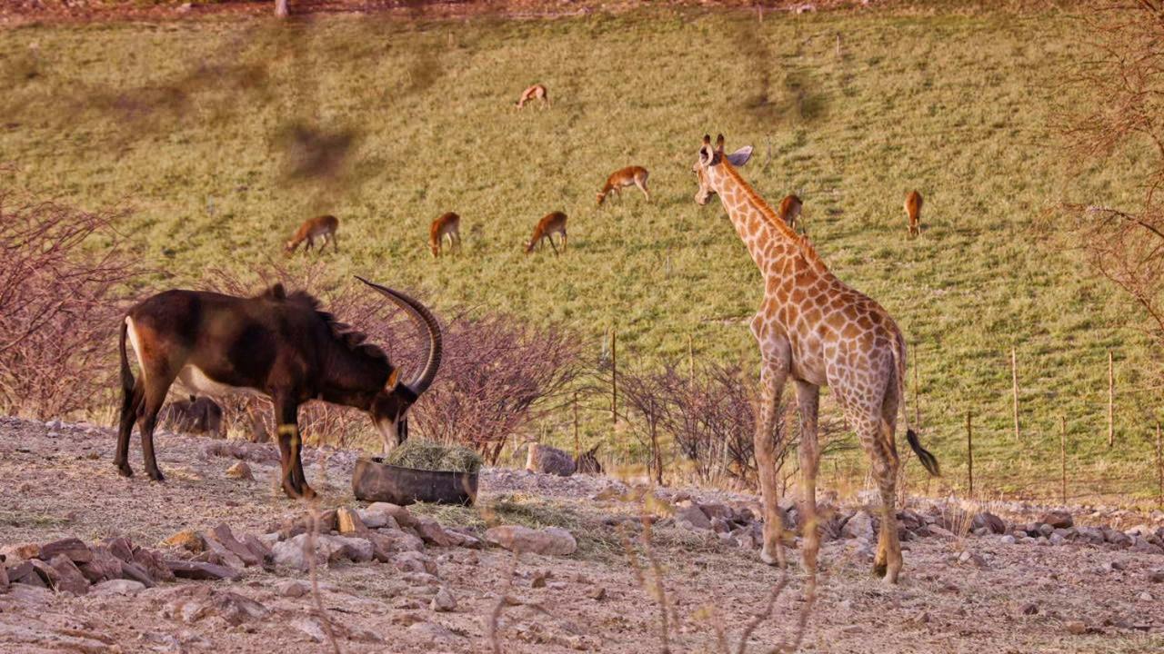 Uitkyk Guest Farm Hotel Usakos Eksteriør billede